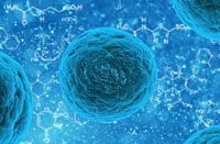 人生就是博·(中国区)官方网站