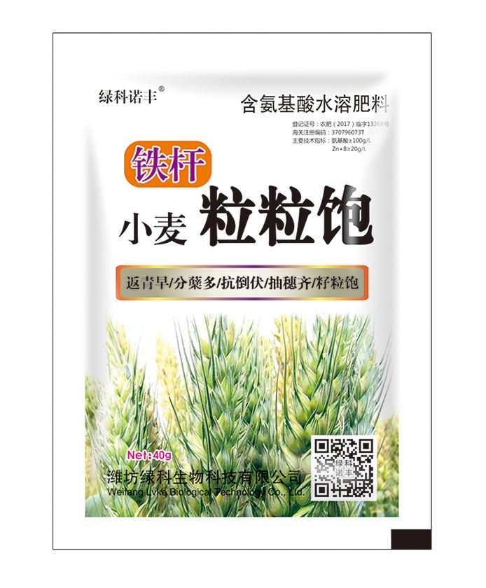 铁杆 小麦粒粒饱 40g单袋 含氨基酸水溶肥料 yp街机电子游戏