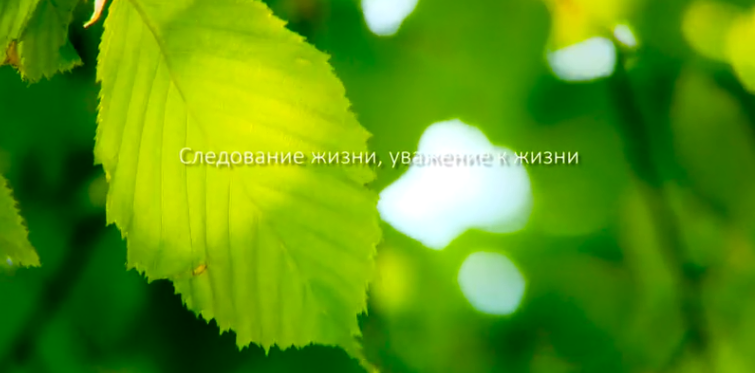 人生就是博集团形象片（русский）